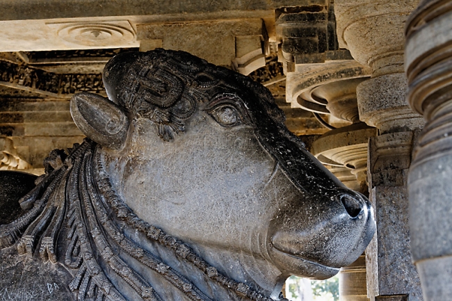 Halebid-Temple de Vishnou-023